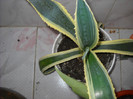 DSCN0118