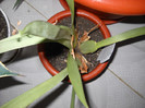 DSCN0119