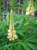 DSCN0046