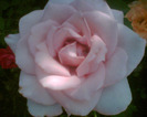 Picture 146