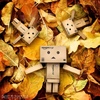 danbo_large
