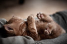 tumblr_lkold7cmNr1qg178a_large