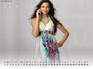 deepika-padukone-wallpapers-desktop-calendar-2011-3