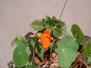 DSC06289