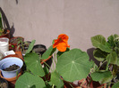 DSC06288