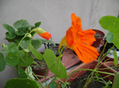 DSC06316