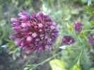 DSCN1292