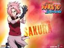 Naruto_Shipp_den_1255104855_4_2007