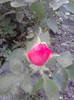 P280511_20.13_[01]
