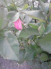 P280511_20.14_[01]