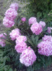 P280511_20.22