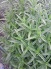 P280511_20.36