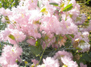 DSCN1158