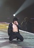 HJL_HKcondaumahlia017