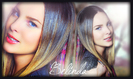 banner12345