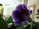 DSC02977