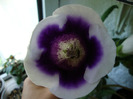 DSC03004