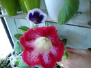 DSC03005