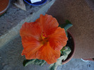 P1070641