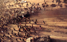 rev 1989-26