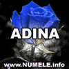 007-ADINA imagini cu nume