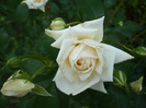 043