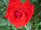 046