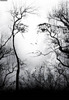 arta_natura