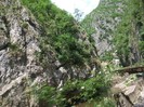 imaginile mele 1119