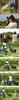 26908204_ALKTNKUTH[1]