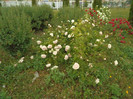 DSC00324
