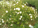 DSC00326