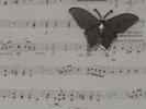 Music_by_ironflower86