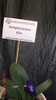 expozitie bucuresti 066