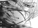 imagesCAN6FJW1