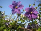 DSCN1310