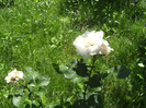 BILD1907