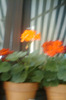 IMAG0795