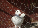 24366878_AOVIZWTTQ[1]