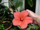 DSC06370