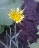 Fotogr.0373