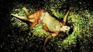 Anahi    Me Hipnotizas ( Official  Music Video ) 064