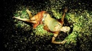 Anahi    Me Hipnotizas ( Official  Music Video ) 149