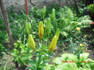 CIMG2176