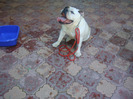 DSC01147