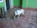 DSC01151