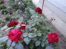 DSC00227