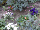 DSC00220