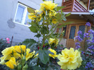 DSC00221