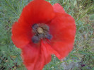 Copy (2) of DSC00170